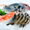 Rapid Seafood Pathogen detection Test Developed