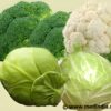 Beat Blood Pressure with the Cruciferous Crew: Broccoli, Cabbage, Kale and Cauliflower