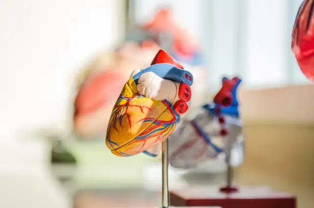 Bayhealth launches new Heart & Vascular Institute